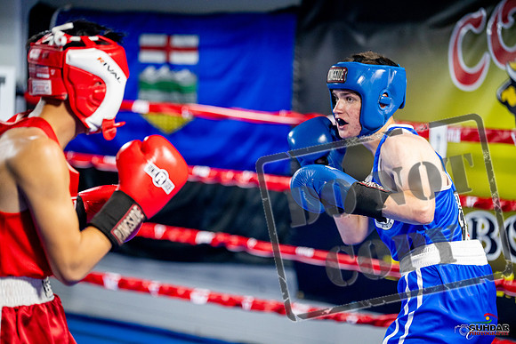 Cougar boxing June 7th 2025-0132