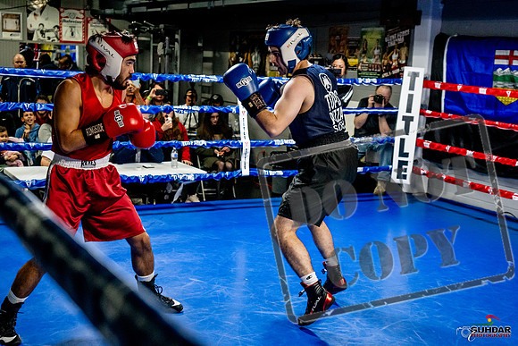 Cougar Boxing Basement Brawl -0362