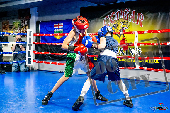 Cougar Boxing Basement Brawl -0054