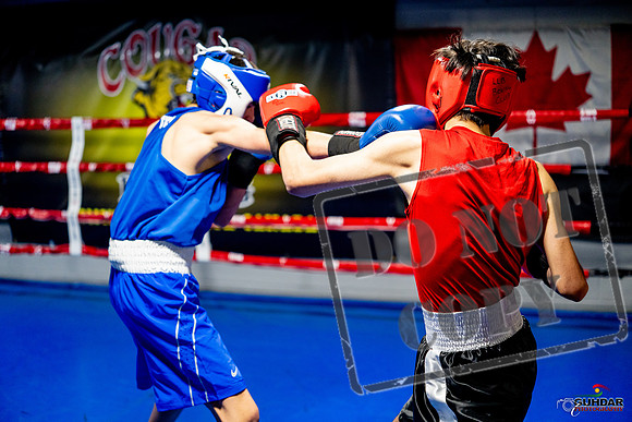 Cougar boxing June 7th 2025-0666