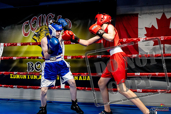 Cougar Boxing Basement Brawl -0207