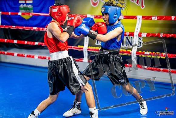 Cougar boxing June 7th 2025-0164