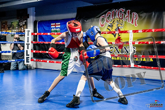 Cougar Boxing Basement Brawl -0053