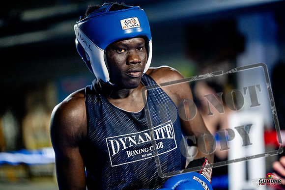Cougar boxing June 7th 2025-0427