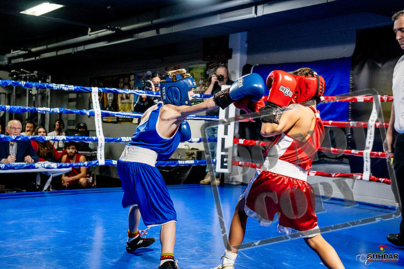 Cougar Boxing Basement Brawl -0079