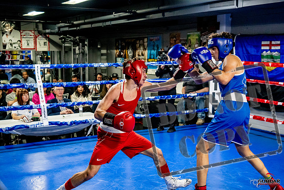 Cougar Boxing Basement Brawl -0470