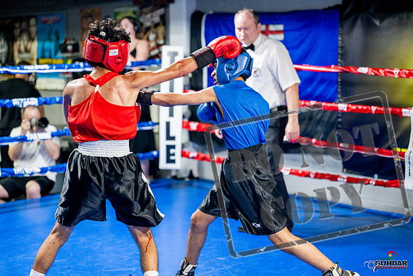Cougar boxing June 7th 2025-0275