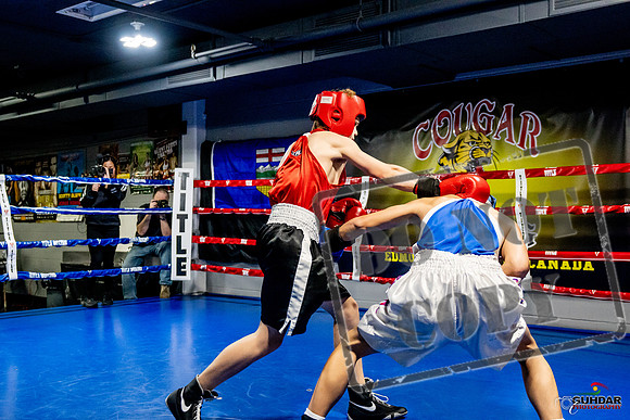 Cougar Boxing Basement Brawl -0145