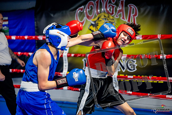 Cougar boxing June 7th 2025-0671