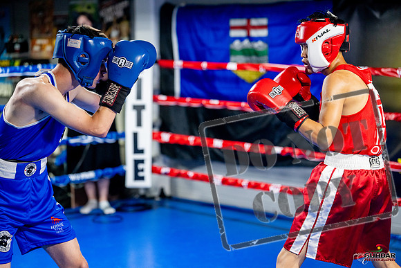 Cougar boxing June 7th 2025-0116