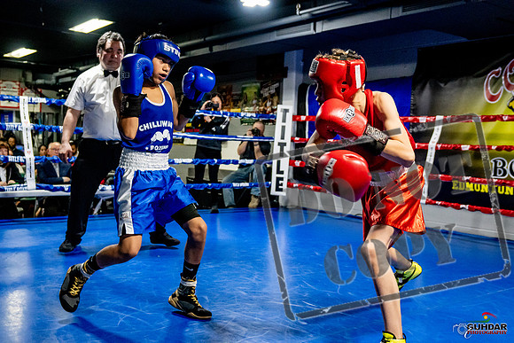 Cougar Boxing Basement Brawl -0224