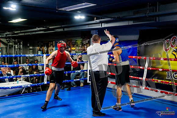 Cougar Boxing Basement Brawl -0681