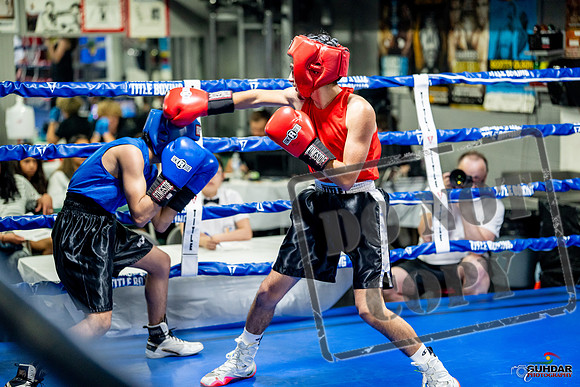 Cougar boxing June 7th 2025-0173