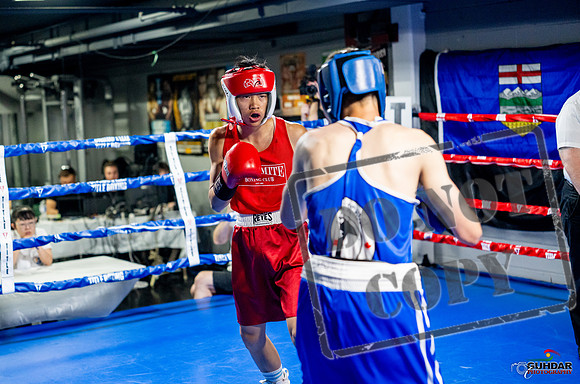 Cougar boxing June 7th 2025-0106