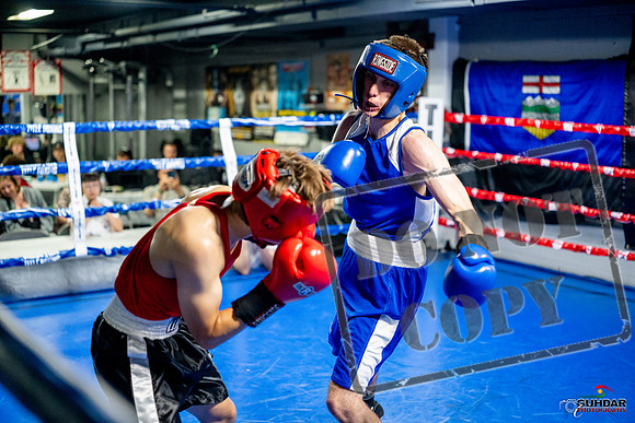 Cougar boxing June 7th 2025-0835