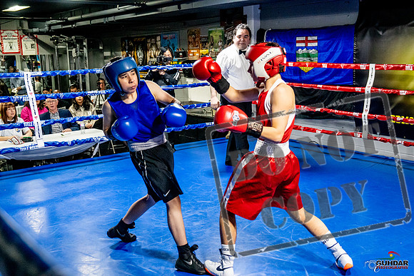 Cougar Boxing Basement Brawl -0478