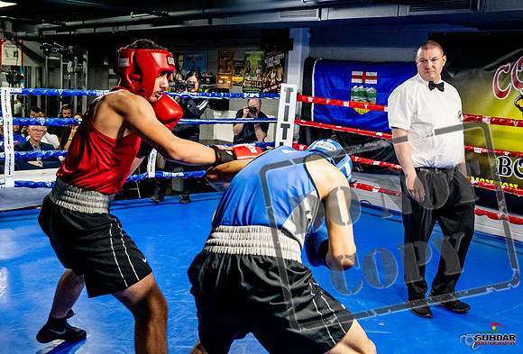 Cougar Boxing Basement Brawl -0663