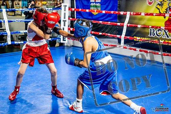 Cougar Boxing Basement Brawl -0321