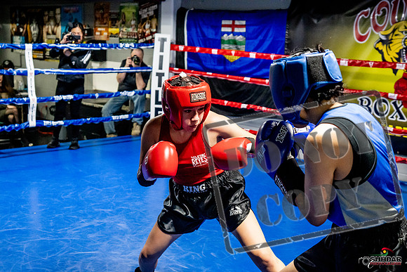 Cougar Boxing Basement Brawl -0566