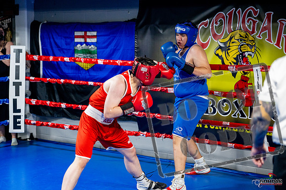 Cougar boxing June 7th 2025-0760