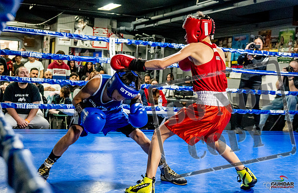 Cougar Boxing Basement Brawl -0227