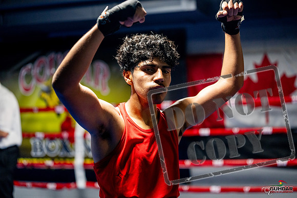 Cougar boxing June 7th 2025-0643