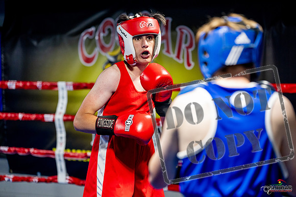 Cougar boxing June 7th 2025-0898