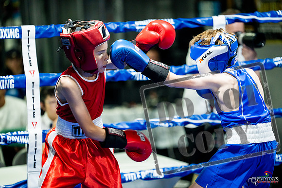 Cougar boxing June 7th 2025-0063
