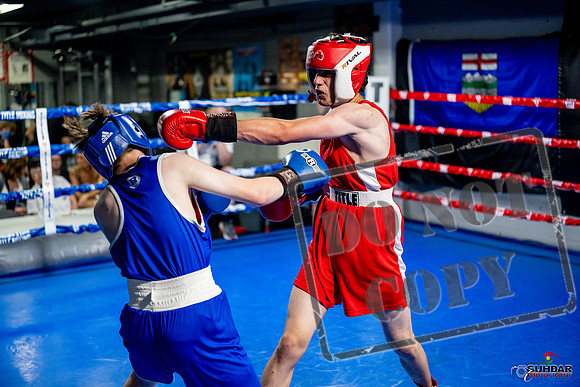 Cougar boxing June 7th 2025-0920