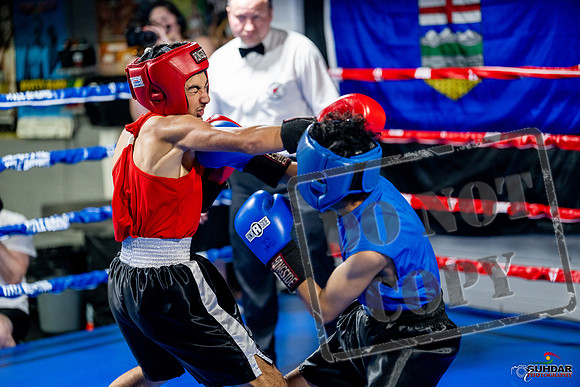 Cougar boxing June 7th 2025-0181
