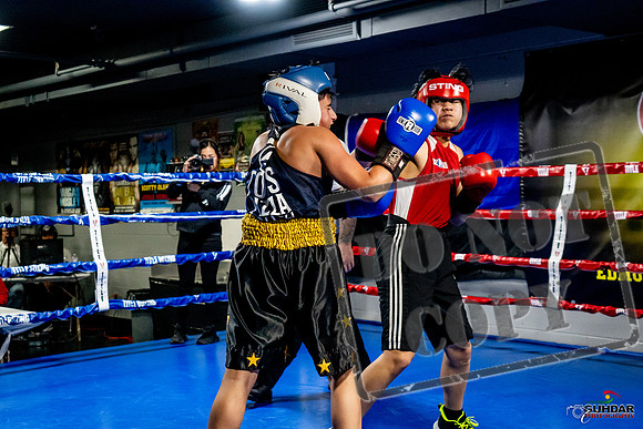 Cougar Boxing Basement Brawl -0303