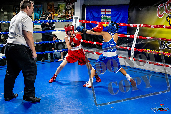 Cougar Boxing Basement Brawl -0330