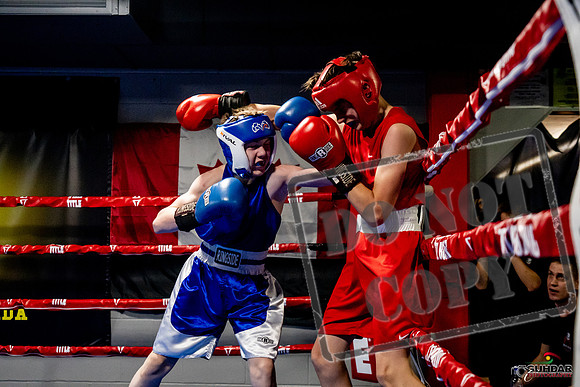 Cougar Boxing Basement Brawl -0208