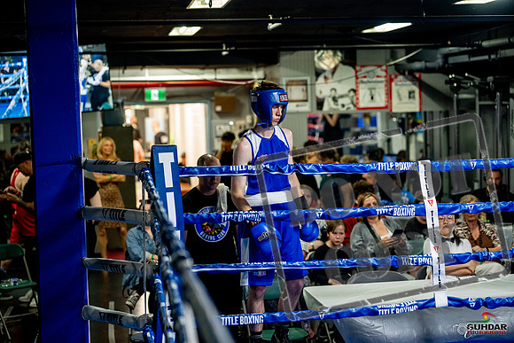 Cougar boxing June 7th 2025-0784