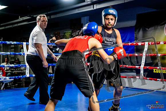 Cougar Boxing Basement Brawl -0298