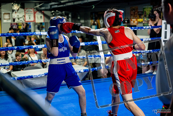 Cougar boxing June 7th 2025-0882