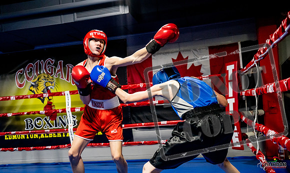 Cougar Boxing Basement Brawl -0116