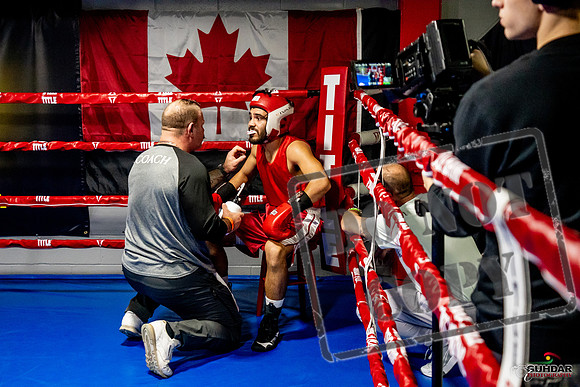 Cougar Boxing Basement Brawl -0385