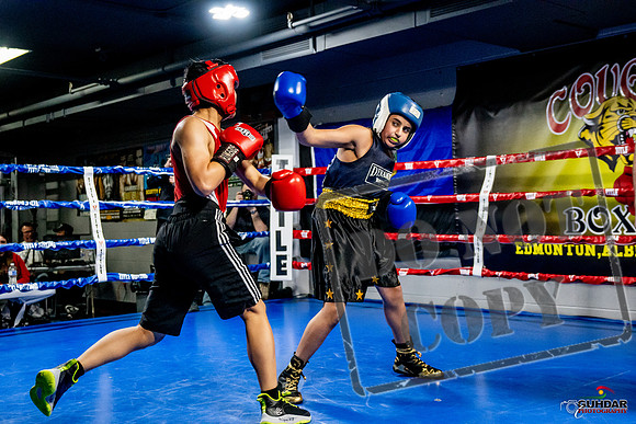 Cougar Boxing Basement Brawl -0280