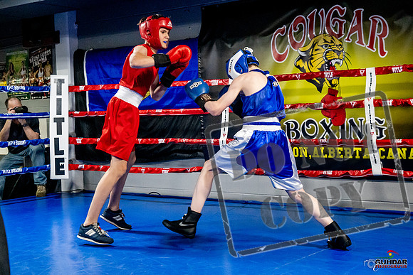 Cougar Boxing Basement Brawl -0185