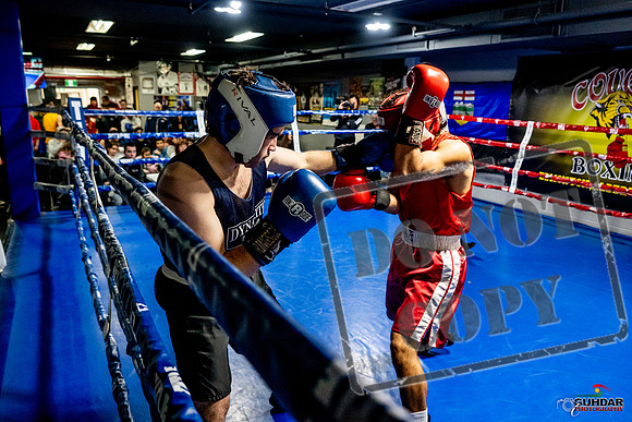 Cougar Boxing Basement Brawl -0361