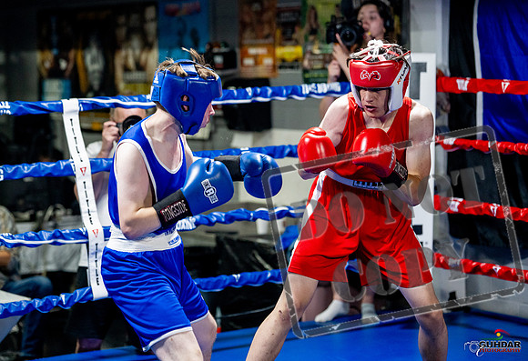 Cougar boxing June 7th 2025-0872
