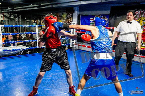 Cougar Boxing Basement Brawl -0527