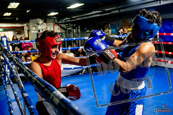 Cougar Boxing Basement Brawl -0623