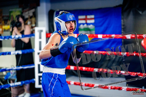 Cougar boxing June 7th 2025-0685