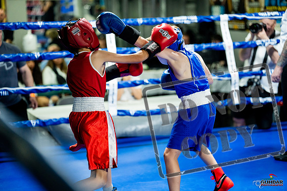 Cougar boxing June 7th 2025-0072