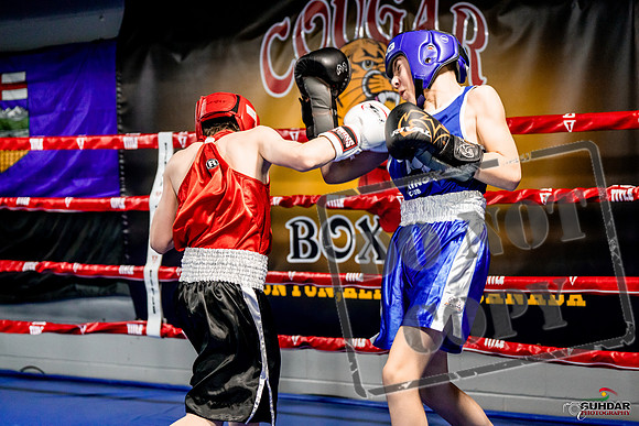 Cougar Boxing Basement Brawl -0031