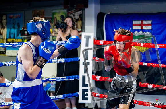 Cougar boxing June 7th 2025-0801