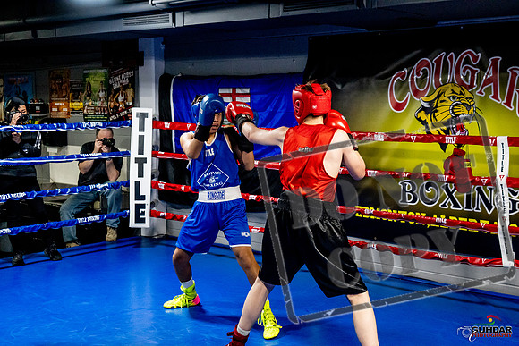 Cougar Boxing Basement Brawl -0523