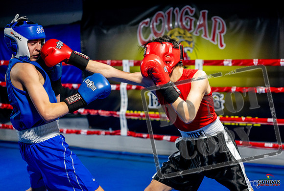 Cougar boxing June 7th 2025-0653